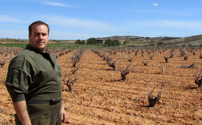Terroir de Sergio