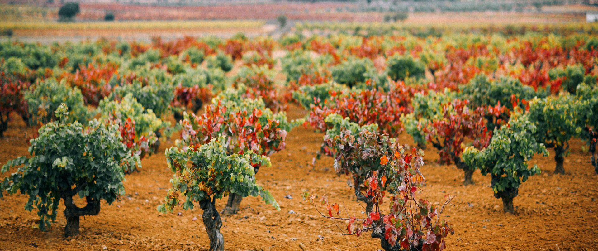 Variedades de vino Gratias