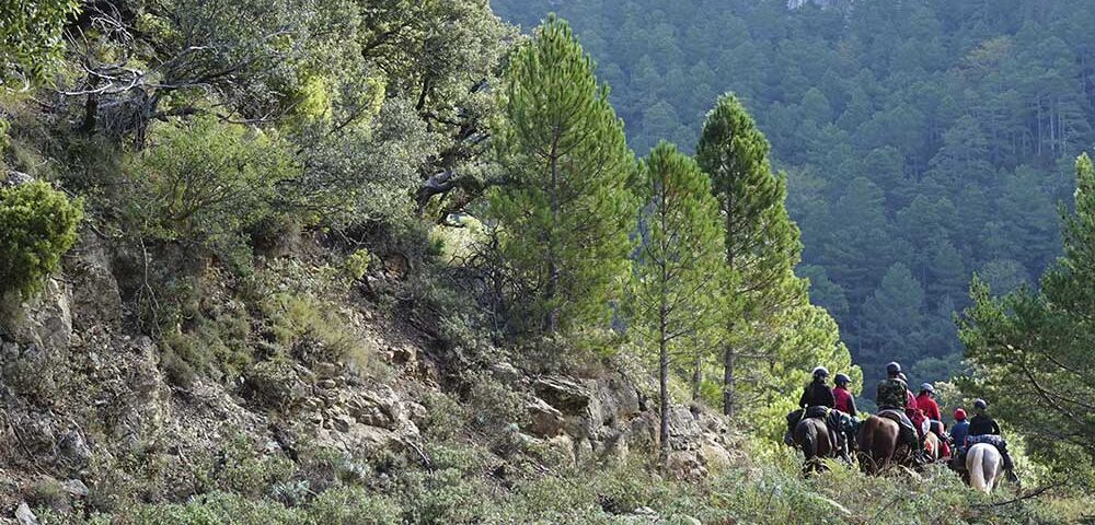 Ruta a caballo en la Manchuela