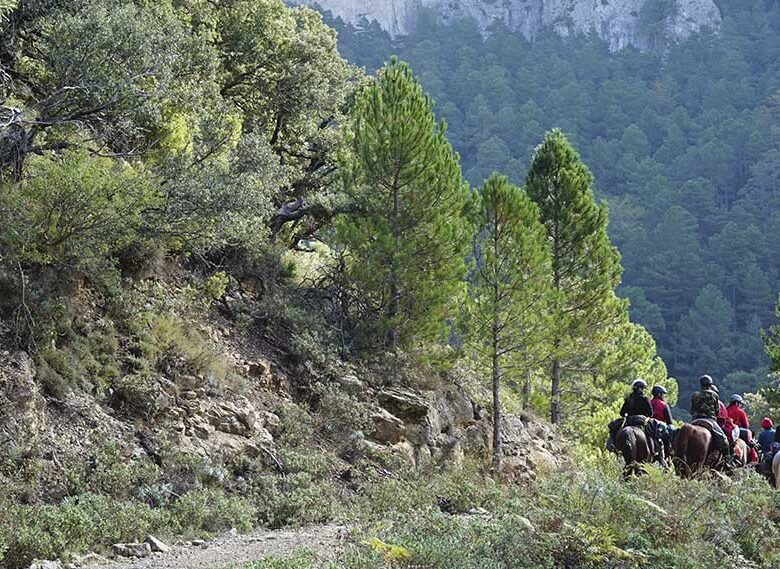 Ruta a caballo en la Manchuela