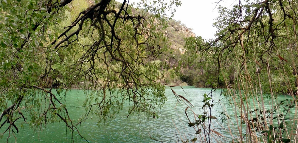 El Valle del Cabriel