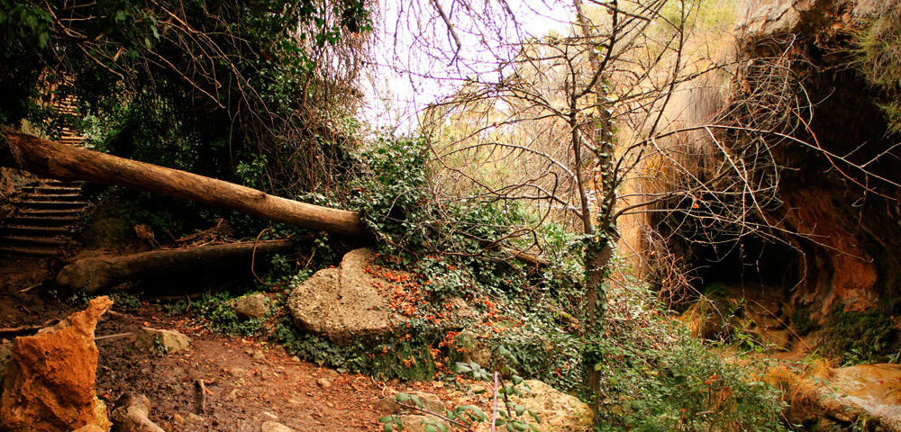 Cueva de los Ángeles