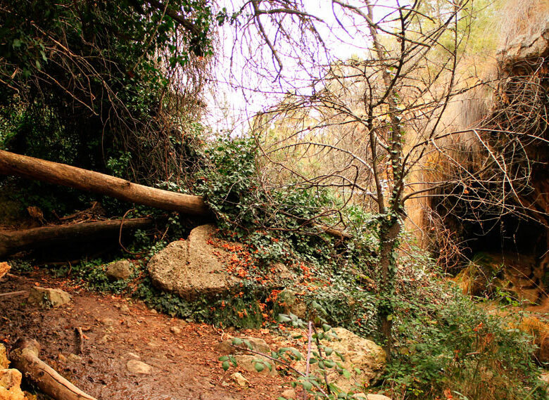 Cueva de los Ángeles