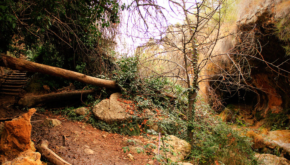 Cueva de los Ángeles