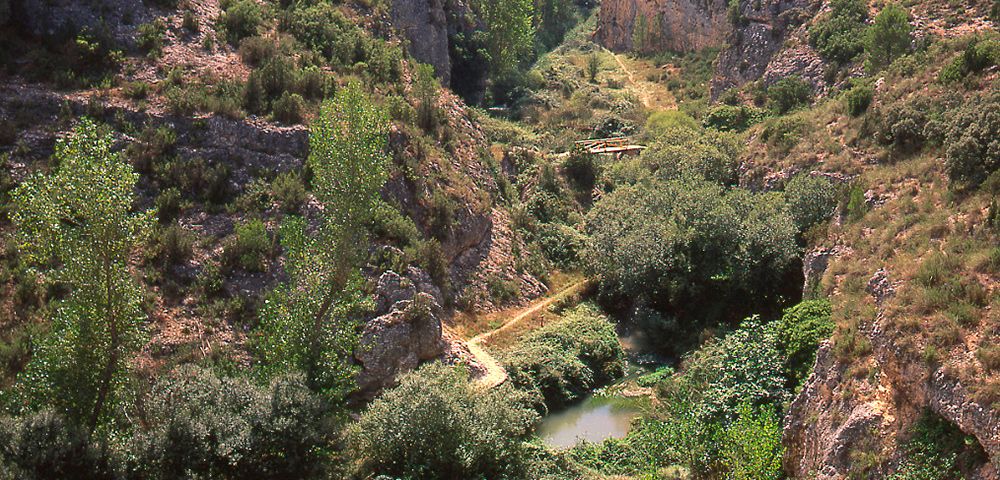 Paraje de La Manchuela