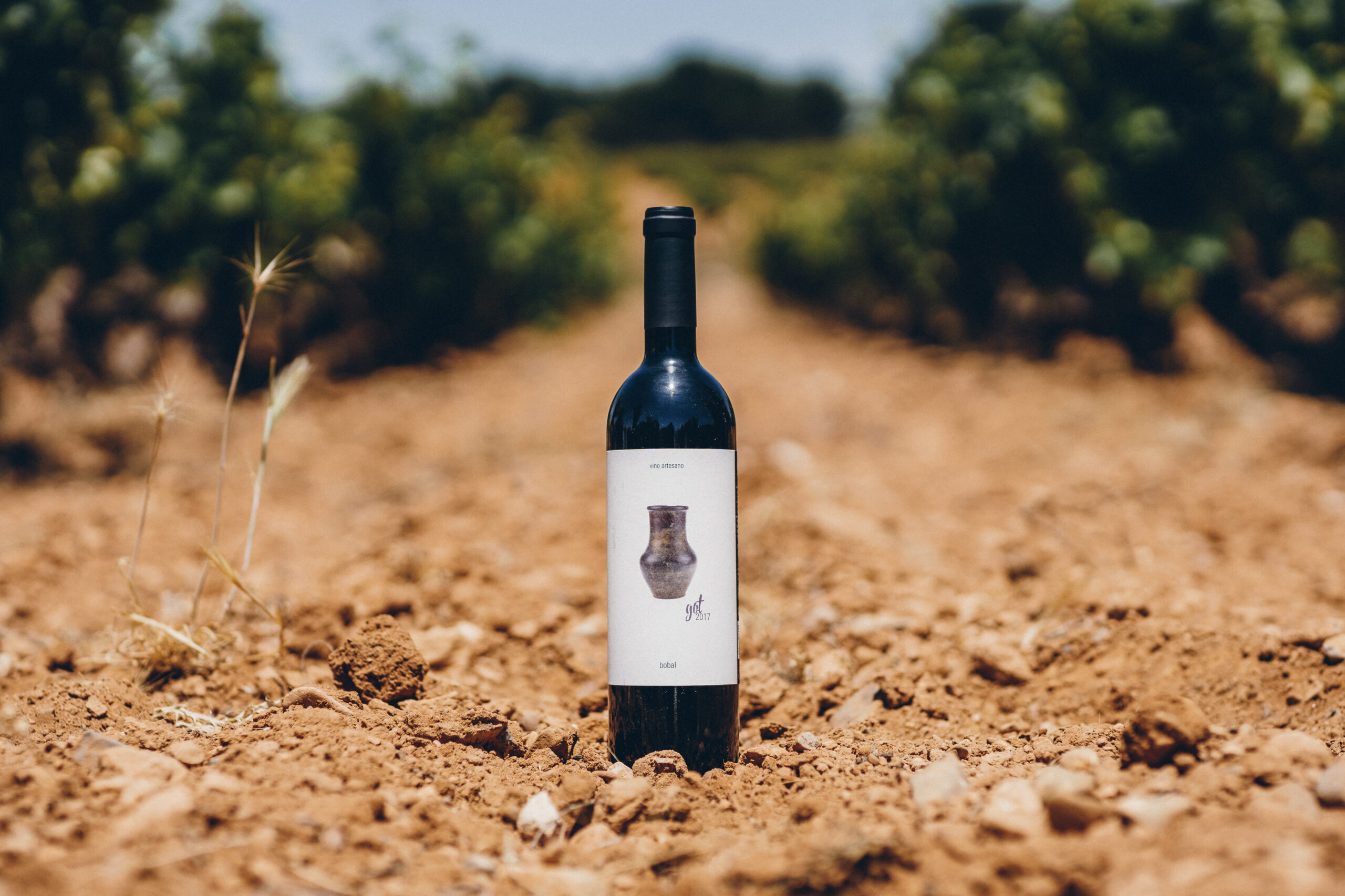 Got | Tinto - Imagen 2