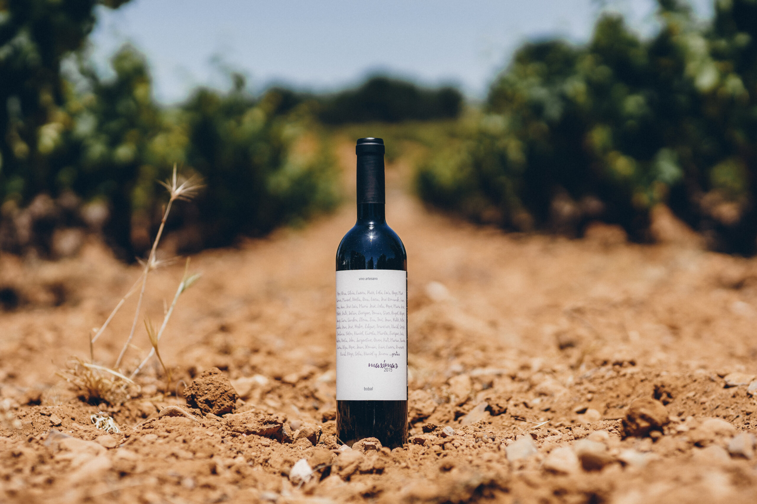 Máximas | Tinto - Imagen 2