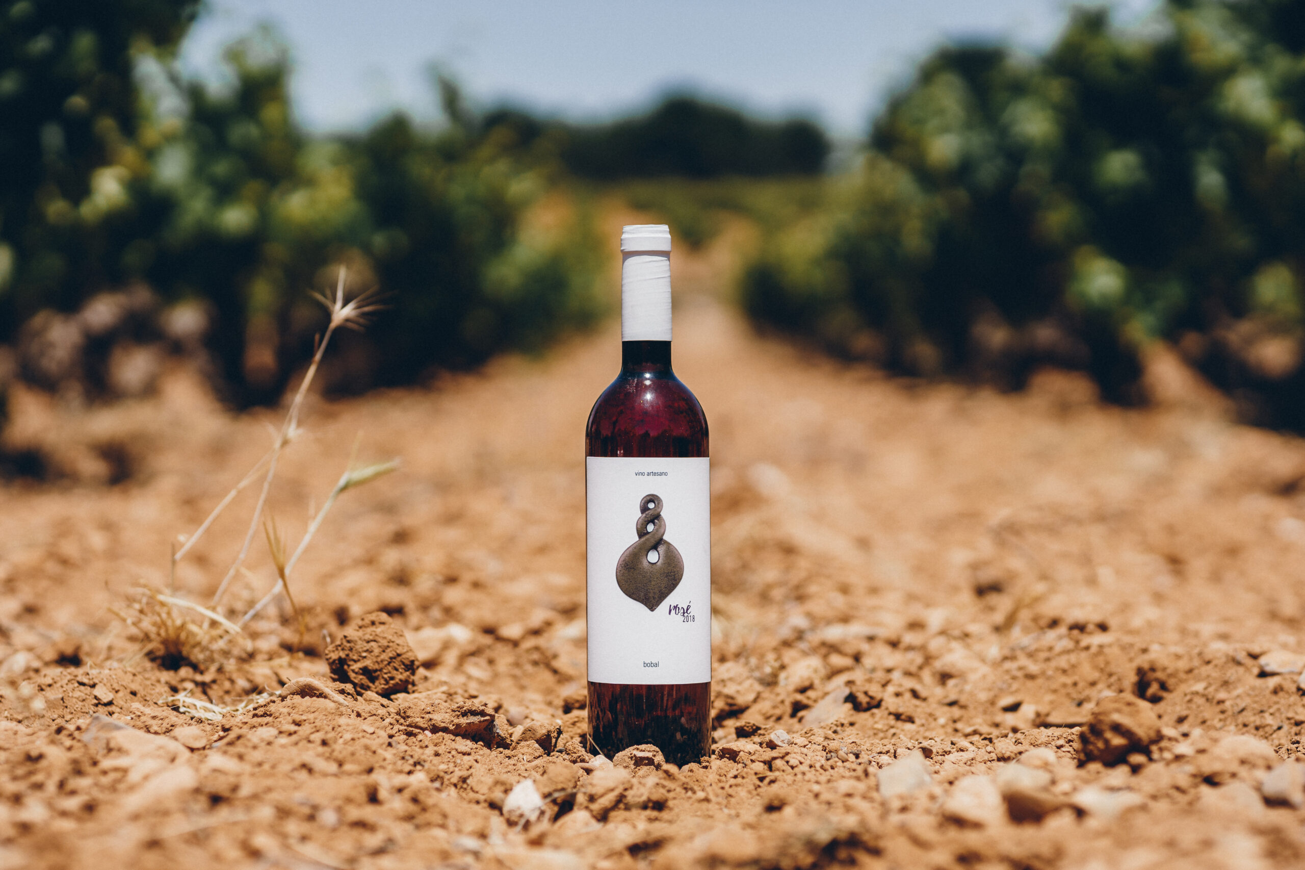 Rius | Tinto ligero - Imagen 2